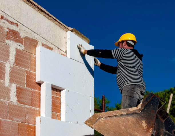Best Home Insulation Services  in Jackson, GA