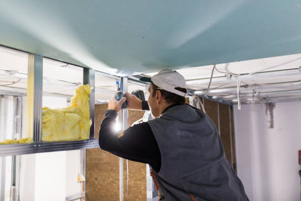 Best Insulation Removal  in Jackson, GA