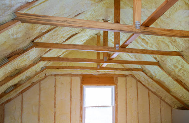 Best Commercial Insulation Contractor  in Jackson, GA