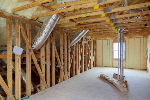 Best Insulation Contractors for Homes  in Jackson, GA