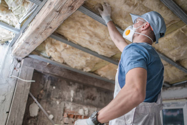 Best Wall Insulation Contractor  in Jackson, GA