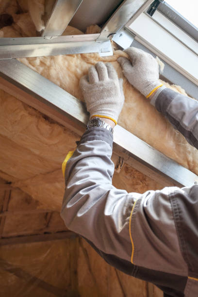 Best Attic Insulation Installation  in Jackson, GA