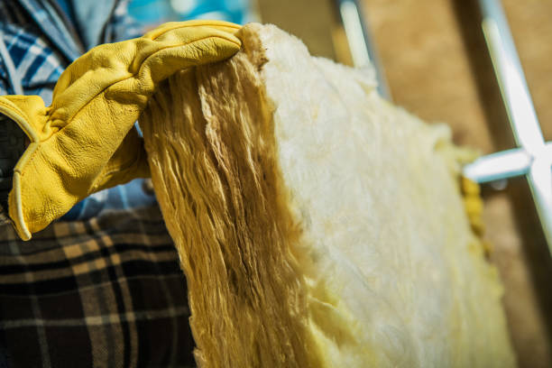 Best Commercial Insulation Contractor  in Jackson, GA