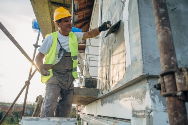 Best Insulation Removal  in Jackson, GA