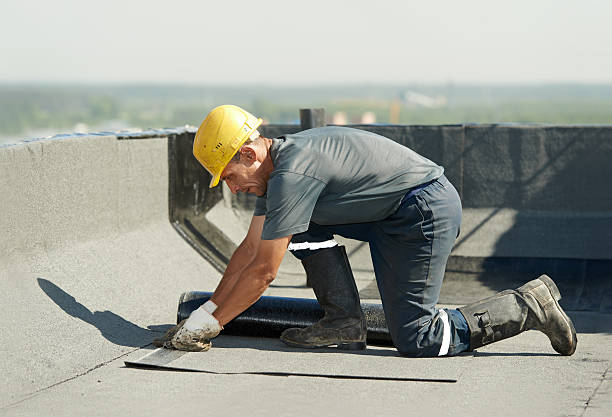 Best Cellulose Insulation  in Jackson, GA