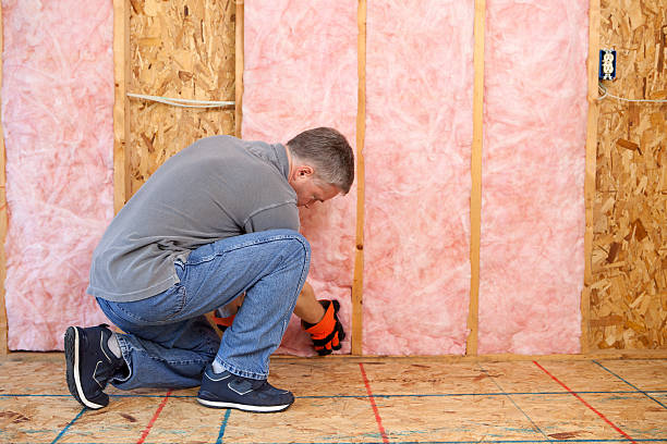 Best Insulation Inspection Services  in Jackson, GA